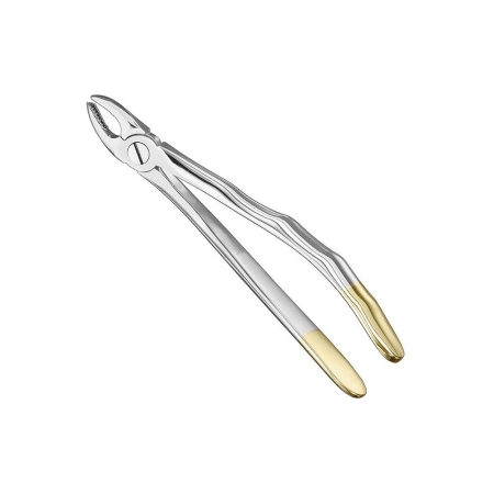 Extracting forceps, anat.